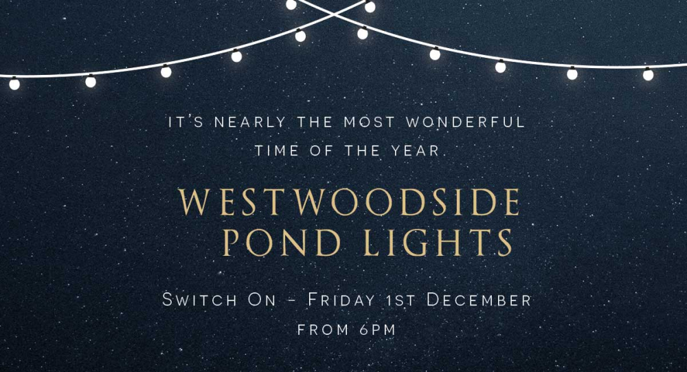 The 2023 Pond Lights Switch On
